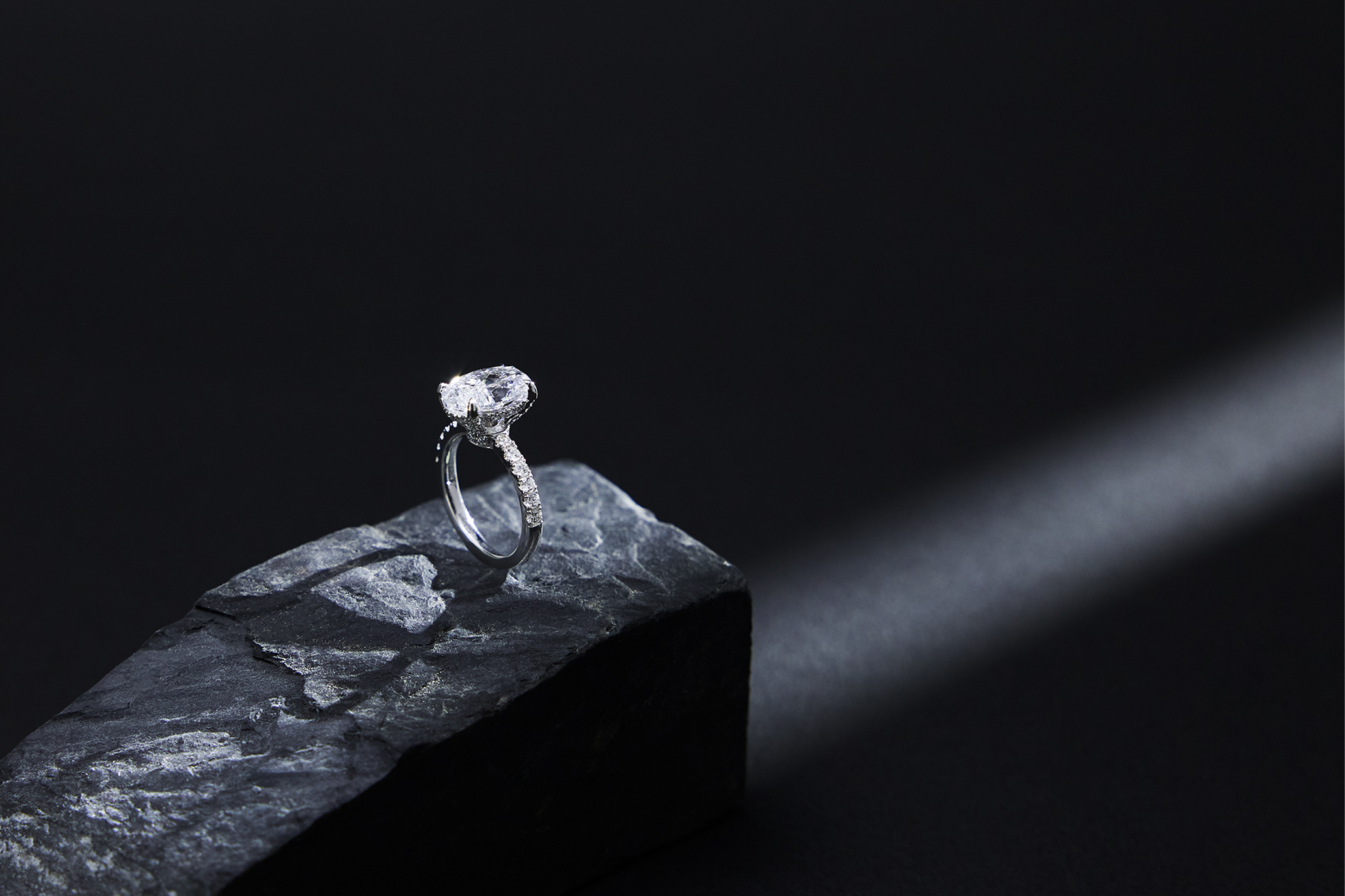 訂製案例 SHOWCASE