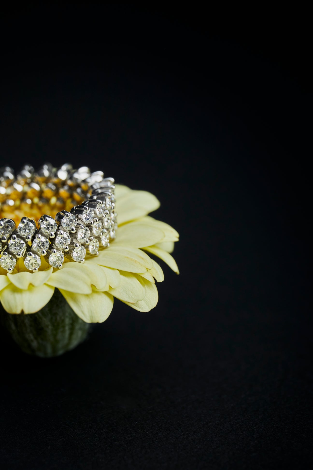 ETERNITY 伸縮式排鑽戒